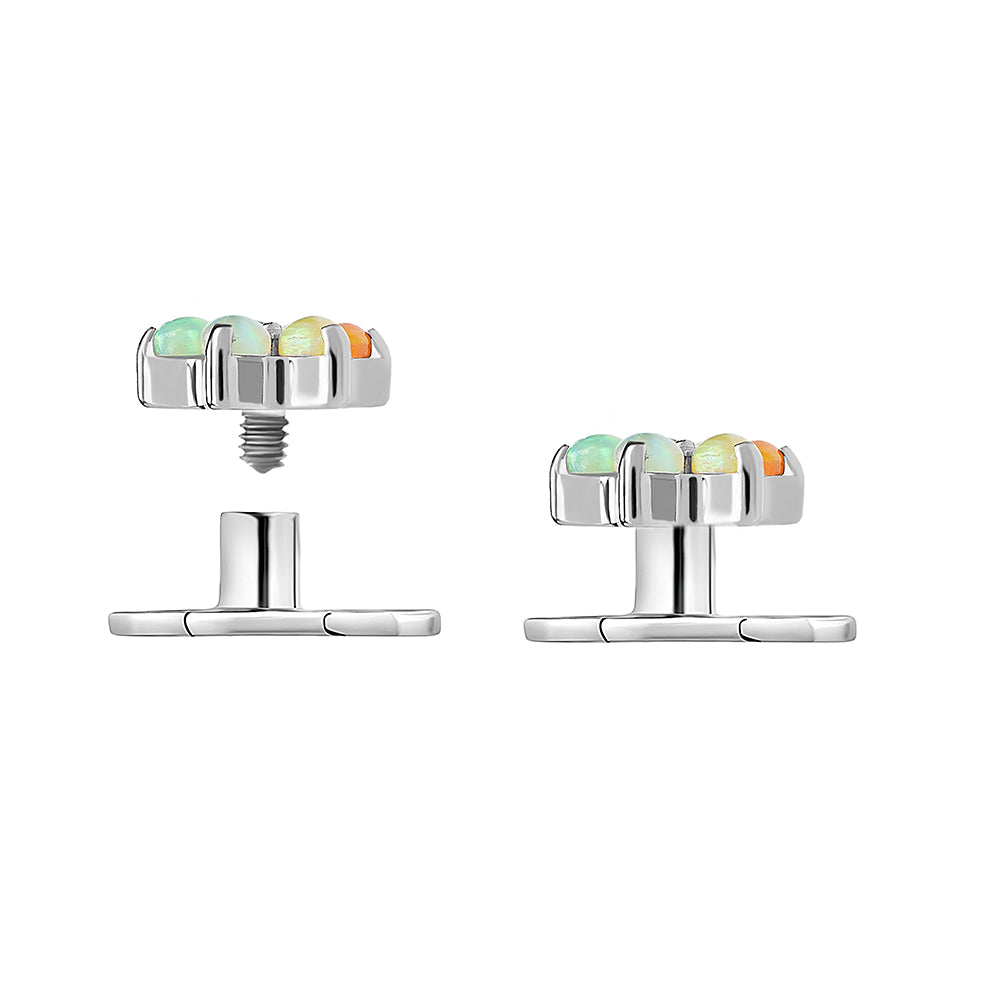 Titanium Dermal Anchor with 2-Hole Base