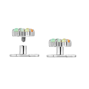 Titanium Dermal Anchor with 2-Hole Base