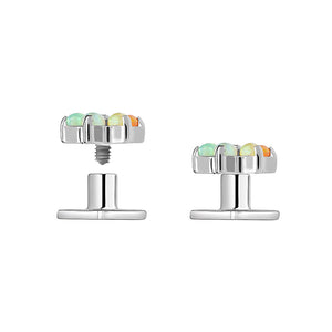 Titanium Dermal Anchor with 2-Hole Shorty Base