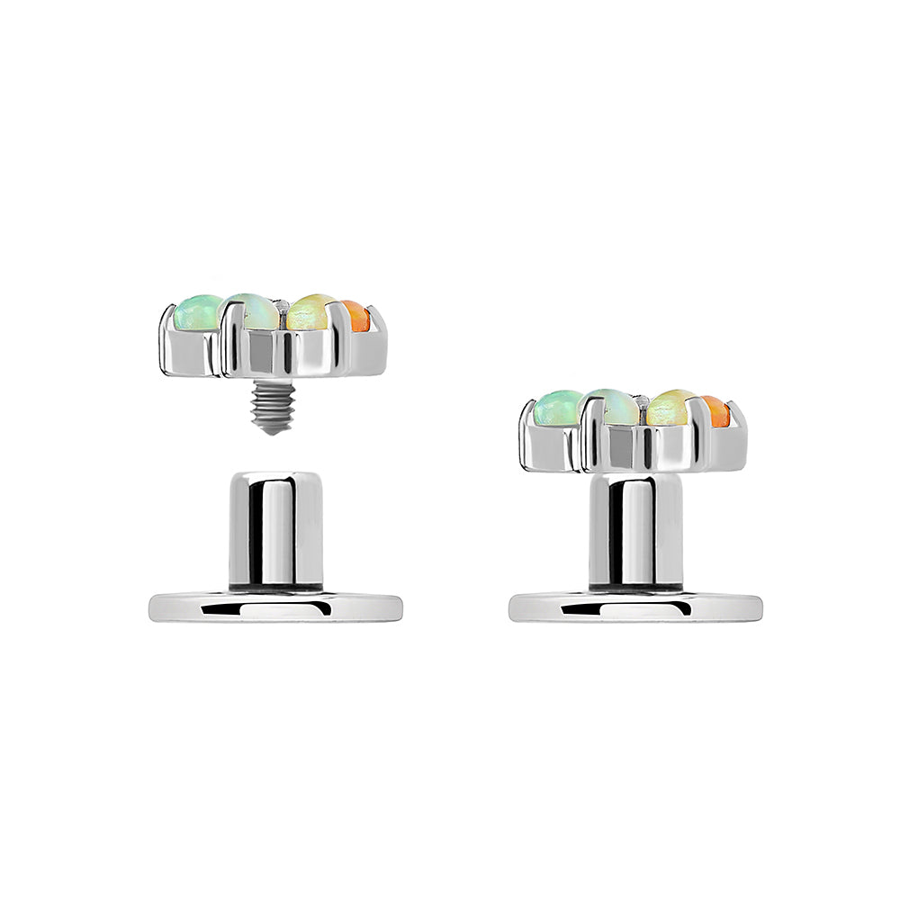 Titanium Dermal Anchor with Round Base