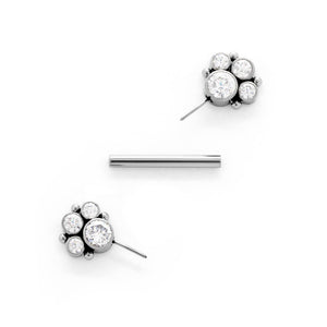 Paw Print Cluster Titanium Nipple Barbell - Threadless